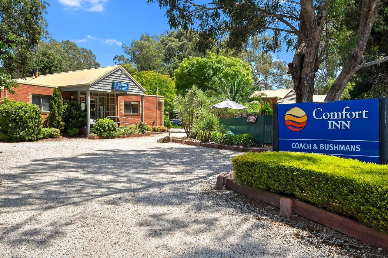 Comfort Inn Coach & Bushmans Seymour Exterior foto