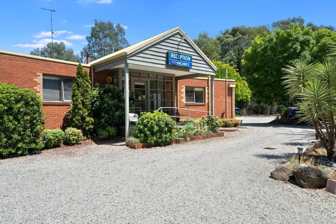 Comfort Inn Coach & Bushmans Seymour Exterior foto